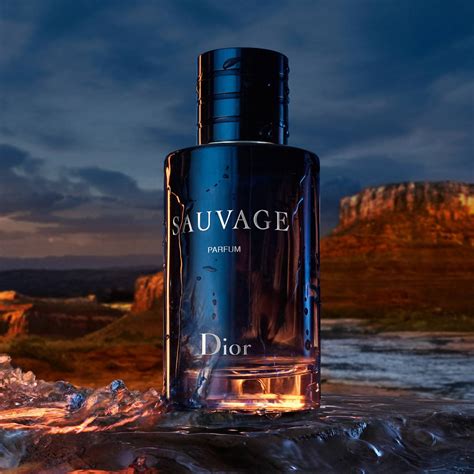 dior sauvage cheapest price 100ml